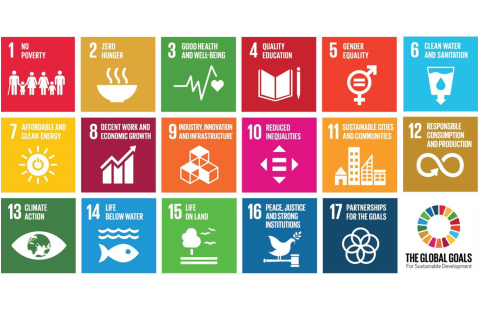 Introduction to Sustainable Development Goal indicators under FAO custodianship