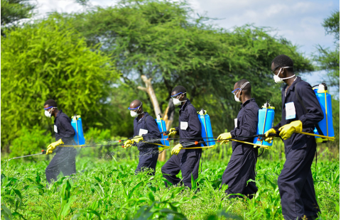 Pesticide Registration Toolkit 