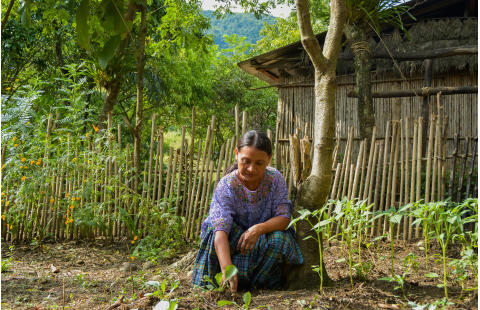 Securing women’s land rights in the context of agricultural investment 