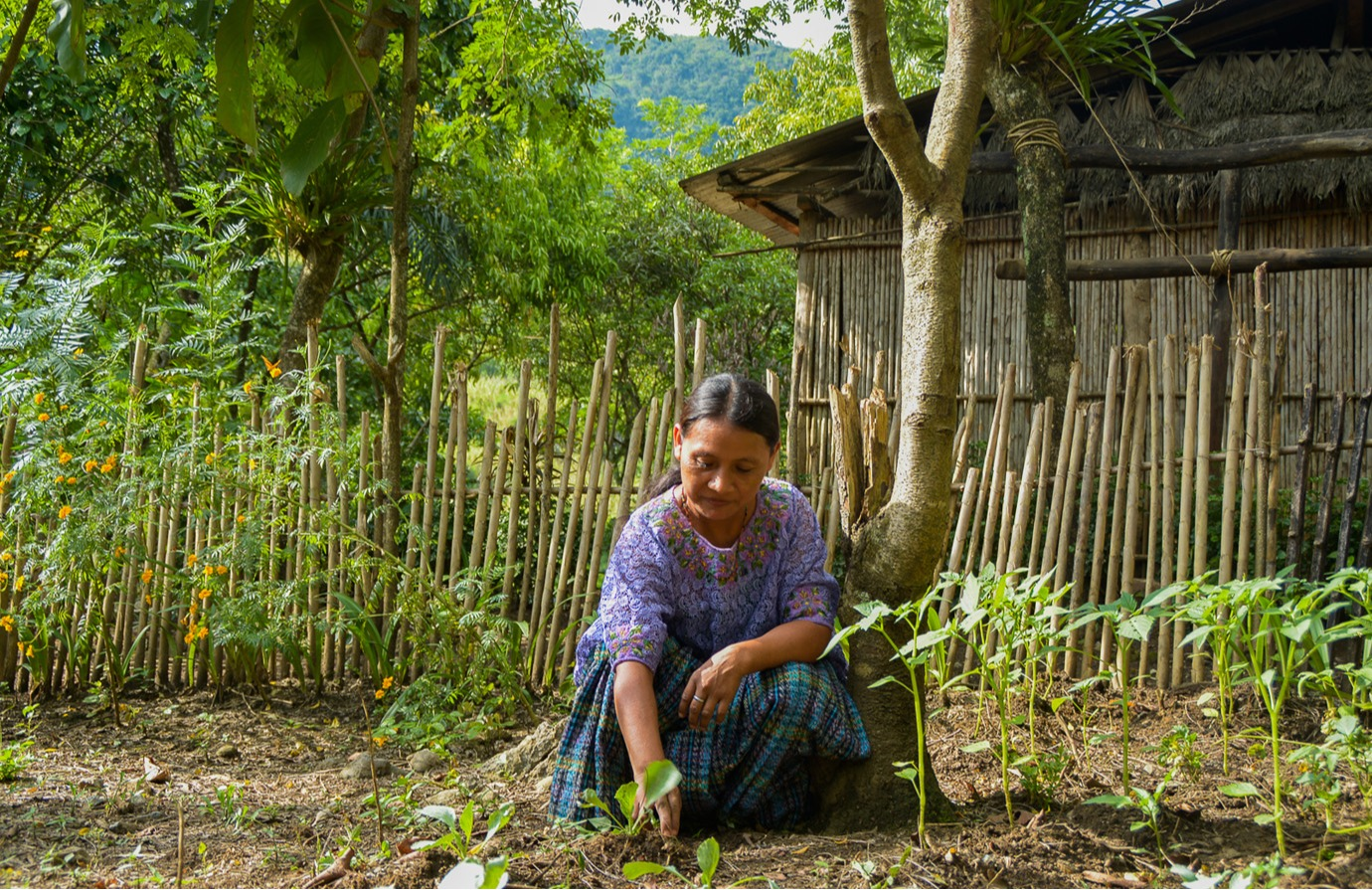 Securing women’s land rights in the context of agricultural investment 